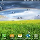 Neben Live Wallpapern für Android Blühende Blumen HD kannst du die apk des Hintergrunds Regenbogen gratis herunterladen.
