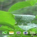 Neben Live Wallpapern für Android Krieger  kannst du die apk des Hintergrunds Regen gratis herunterladen.