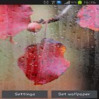 Neben Live Wallpapern für Android Stacheliger Blutiger Königswolf  kannst du die apk des Hintergrunds Regnerischer Herbst gratis herunterladen.