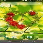 Neben Live Wallpapern für Android Eule  kannst du die apk des Hintergrunds Rosenuhr gratis herunterladen.