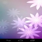 Neben Live Wallpapern für Android Neonblumen  kannst du die apk des Hintergrunds Samsung: Karneval gratis herunterladen.