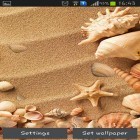 Neben Live Wallpapern für Android Tornado 3D HD kannst du die apk des Hintergrunds Meermuschel gratis herunterladen.