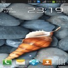 Neben Live Wallpapern für Android Regenbogenrosen  kannst du die apk des Hintergrunds Seemuschel gratis herunterladen.