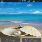 Neben Live Wallpapern für Android Herbst in Paris  kannst du die apk des Hintergrunds Meeresmuscheln gratis herunterladen.