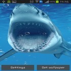 Neben Live Wallpapern für Android Wartend auf Weihnachten  kannst du die apk des Hintergrunds Haie gratis herunterladen.