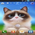 Neben Live Wallpapern für Android Animierte Katze  kannst du die apk des Hintergrunds Shui Kätzchen gratis herunterladen.