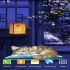 Neben Live Wallpapern für Android Glühwürmchen  kannst du die apk des Hintergrunds Schlafendes Kätzchen gratis herunterladen.