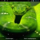 Neben Live Wallpapern für Android Verschlafener Hippo kannst du die apk des Hintergrunds Schlange gratis herunterladen.
