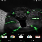 Neben Live Wallpapern für Android Anbruch der Nacht kannst du die apk des Hintergrunds Schlangen gratis herunterladen.