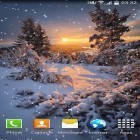 Neben Live Wallpapern für Android Frühling: Natur kannst du die apk des Hintergrunds Schnee gratis herunterladen.