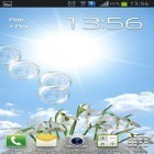 Neben Live Wallpapern für Android Gartenblumen  kannst du die apk des Hintergrunds Schneeglöckchen gratis herunterladen.