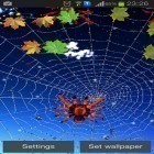 Neben Live Wallpapern für Android Rennwagen kannst du die apk des Hintergrunds Spinne gratis herunterladen.