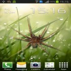 Neben Live Wallpapern für Android Nächtliche Winterberge kannst du die apk des Hintergrunds Spinne im Smartphone gratis herunterladen.