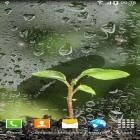 Neben Live Wallpapern für Android Gewitter  kannst du die apk des Hintergrunds Frühling gratis herunterladen.