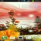Lade Frühlingsblumen: Magie für Android und andere kostenlose Sony Ericsson Vivaz Live Wallpaper herunter.