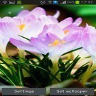 Neben Live Wallpapern für Android  kannst du die apk des Hintergrunds Frühlingsblumen: Regen gratis herunterladen.
