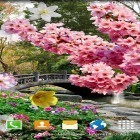 Lade Frühlingsgarten für Android und andere kostenlose Lenovo A328 Live Wallpaper herunter.