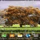 Neben Live Wallpapern für Android Violette Rose kannst du die apk des Hintergrunds Frühlingslandschaften gratis herunterladen.