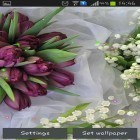Neben Live Wallpapern für Android Phönix  kannst du die apk des Hintergrunds Frühlingslinien und Tulpen gratis herunterladen.