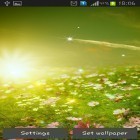 Neben Live Wallpapern für Android Winter: Kalte Sonne kannst du die apk des Hintergrunds Frühlingswiese gratis herunterladen.