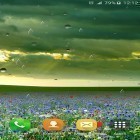 Neben Live Wallpapern für Android Violette Rose kannst du die apk des Hintergrunds Frühlingsregen gratis herunterladen.