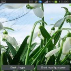 Neben Live Wallpapern für Android Niedliches Füchslein kannst du die apk des Hintergrunds Schneeglöckchen gratis herunterladen.