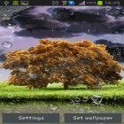 Neben Live Wallpapern für Android Windmühle und Teich kannst du die apk des Hintergrunds Frühlingssturm gratis herunterladen.