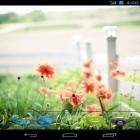 Neben Live Wallpapern für Android Niedlicher Drache kannst du die apk des Hintergrunds Sommerblumen gratis herunterladen.