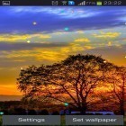 Neben Live Wallpapern für Android Lustiger Affe  kannst du die apk des Hintergrunds Sonnenuntergang im Frühling gratis herunterladen.