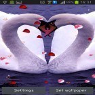 Neben Live Wallpapern für Android Kleine Polyfarm kannst du die apk des Hintergrunds Schwäne: Liebe gratis herunterladen.