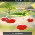 Neben Live Wallpapern für Android Heißluftballon  kannst du die apk des Hintergrunds Süße Kirschen gratis herunterladen.