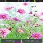 Neben Live Wallpapern für Android Strand  kannst du die apk des Hintergrunds Süße Blumen gratis herunterladen.