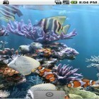 Neben Live Wallpapern für Android Sim Aquarium kannst du die apk des Hintergrunds Echtes Aquarium gratis herunterladen.