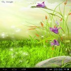 Neben Live Wallpapern für Android Sprit kannst du die apk des Hintergrunds Funkelnde Blumen gratis herunterladen.