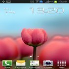 Neben Live Wallpapern für Android Aquarium kannst du die apk des Hintergrunds Tulpe 3D gratis herunterladen.