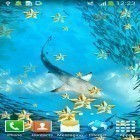 Neben Live Wallpapern für Android Plasmakugel  kannst du die apk des Hintergrunds Unter Wasser gratis herunterladen.