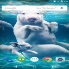 Neben Live Wallpapern für Android Hundewelpe kannst du die apk des Hintergrunds Unterwassertiere gratis herunterladen.