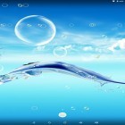 Neben Live Wallpapern für Android Hirsch und Natur 3D  kannst du die apk des Hintergrunds Wasserblasen gratis herunterladen.