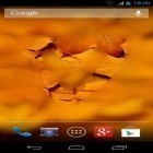 Neben Live Wallpapern für Android Früchte im Wasser  kannst du die apk des Hintergrunds Feuchter Bildschirm HD gratis herunterladen.