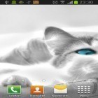 Neben Live Wallpapern für Android Das Eichhörnchen kannst du die apk des Hintergrunds Weiße Katzen gratis herunterladen.