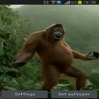 Neben Live Wallpapern für Android Panda kannst du die apk des Hintergrunds Wilder Tanz des verrückten Affen gratis herunterladen.