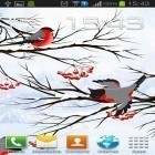 Neben Live Wallpapern für Android Vintage kannst du die apk des Hintergrunds Winter: Bullfinch gratis herunterladen.