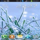 Neben Live Wallpapern für Android Mlumenuhr  kannst du die apk des Hintergrunds Wintergras gratis herunterladen.