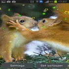 Neben Live Wallpapern für Android Halloween von Blackbird Wallpapers kannst du die apk des Hintergrunds Wintereichhörnchen gratis herunterladen.