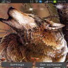 Neben Live Wallpapern für Android Kawaii kannst du die apk des Hintergrunds Wolf gratis herunterladen.