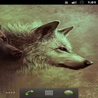 Neben Live Wallpapern für Android Birkenwald  kannst du die apk des Hintergrunds Wölfe HQ gratis herunterladen.