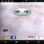 Neben Live Wallpapern für Android Fast Theme  kannst du die apk des Hintergrunds Zoo: Katze gratis herunterladen.