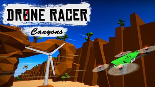 Download Drone racer: Canyons für Android kostenlos.