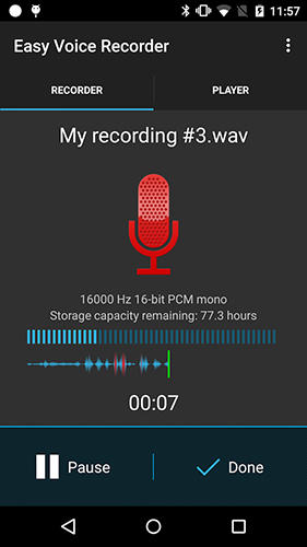 Einfacher Stimmen Recorder Pro