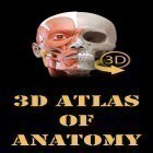 Muskeln | Skelett - 3D Atlas der Anatomie  kostenlos herunterladen fur Android, die beste App fur Handys und Tablets.